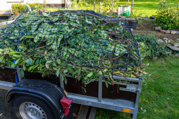 Best Hoarding Cleanup  in Tellico Village, TN